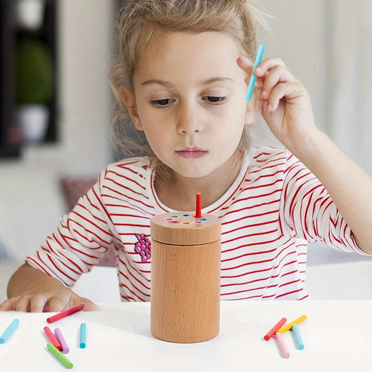 Color Match Wooden Toy